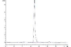 The purity of Human 4-1BB Ligand Trimer is greater than 95 % as determined by SEC-HPLC.