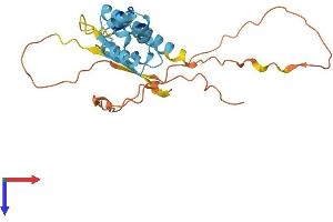 AlphaFold protein structure predicition of Human Recombinant FBXL22 Protein, UniprotID Q6P050