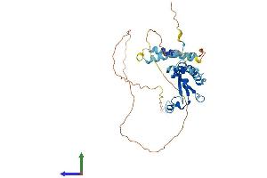 AlphaFold protein structure predicition of Mouse Recombinant Qki Protein, UniprotID Q9QYS9