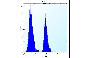 ST5 Antibody (C-term) (ABIN652186 and ABIN2840676) flow cytometric analysis of  cells (right histogram) compared to a negative control cell (left histogram).