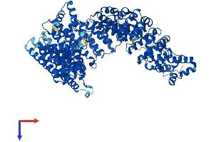 AlphaFold protein structure predicition of Mouse Recombinant Ipo11 Protein, UniprotID Q8K2V6