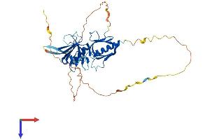 AlphaFold protein structure predicition of Mouse Recombinant Plekha1 Protein, UniprotID Q8BUL6