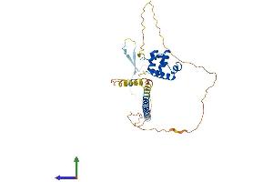 AlphaFold protein structure predicition of Human Recombinant SCML1 Protein, UniprotID Q9UN30