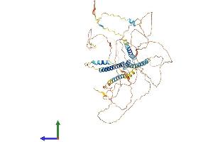 AlphaFold protein structure predicition of Mouse Recombinant Cnst Protein, UniprotID Q8CBC4