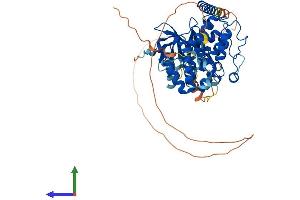 AlphaFold protein structure predicition of Mouse Recombinant Ripk2 Protein, UniprotID P58801