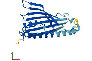 AlphaFold protein structure predicition of Mouse Recombinant Prelid2 Protein, UniprotID Q0VBB0