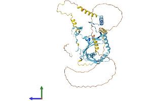 AlphaFold protein structure predicition of Human Recombinant PAF1 Protein, UniprotID Q8N7H5