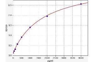 Activated Leukocyte Cell Adhesion Molecule (ALCAM) ELISA Kit