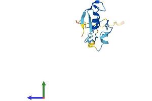 AlphaFold protein structure predicition of Human Recombinant RBX1 Protein, UniprotID P62877