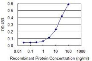 Detection limit for recombinant GST tagged SERGEF is 1 ng/ml as a capture antibody. (SERGEF anticorps  (AA 240-337))