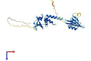 AlphaFold protein structure predicition of Human Recombinant KCTD15 Protein, UniprotID Q96SI1