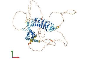 AlphaFold protein structure predicition of Mouse Recombinant Lrch1 Protein, UniprotID P62046
