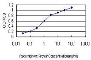 Detection limit for recombinant GST tagged NGB is approximately 0.