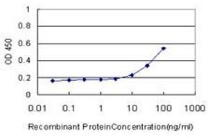 Detection limit for recombinant GST tagged MEF2A is approximately 10ng/ml as a capture antibody. (MEF2A anticorps  (AA 71-170))