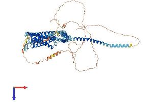 AlphaFold protein structure predicition of Mouse Recombinant Kcnn3 Protein, UniprotID P58391