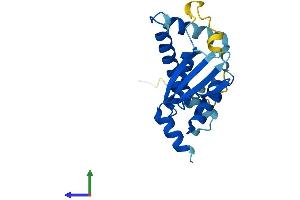 AlphaFold protein structure predicition of Human Recombinant TRAPPC5 Protein, UniprotID Q8IUR0