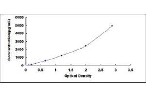 Cold Inducible RNA Binding Protein (CIRBP) ELISA Kit