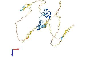AlphaFold protein structure predicition of Human Recombinant ZFP36 Protein, UniprotID P26651