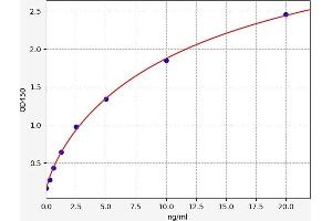 Typical standard curve (ErbB2/Her2 Kit ELISA)
