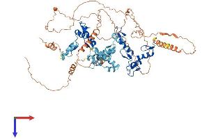 AlphaFold protein structure predicition of Human Recombinant ZNF510 Protein, UniprotID Q9Y2H8