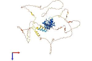 AlphaFold protein structure predicition of Human Recombinant AGFG1 Protein, UniprotID P52594