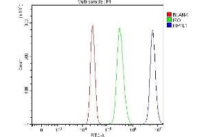 Flow Cytometry analysis of HepG2 cells using anti-FIP1L1 antibody (ABIN7600761). (FIP1L1 anticorps  (AA 23-558))