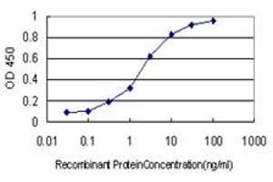 Detection limit for recombinant GST tagged NUDC is approximately 0.