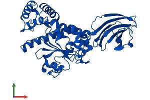 AlphaFold protein structure predicition of Human Recombinant SEC14L3 Protein, UniprotID Q9UDX4