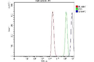 anti-Small Nuclear Ribonucleoprotein Polypeptide C (SNRPC) (AA 1-159) antibody