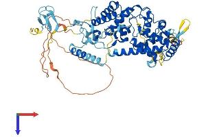AlphaFold protein structure predicition of Human Recombinant TAF1B Protein, UniprotID Q53T94