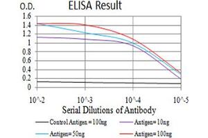 Fig. (Phospholipase D2 anticorps  (AA 834-933))