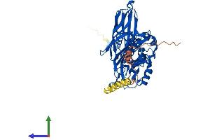 AlphaFold protein structure predicition of Human Recombinant FBXO3 Protein, UniprotID Q9UK99