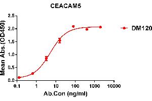 ELISA plate pre-coated by 1 μg/mL (100 μL/well) Human CEACAM5 protein, His tagged protein ((ABIN6961129, ABIN7042287 and ABIN7042288)) can bind Rabbit anti-CEACAM5 monoclonal antibody(clone: DM120) in a linear range of 0. (CEACAM5 anticorps  (AA 35-685))