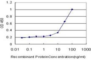 Detection limit for recombinant GST tagged CAMK2A is approximately 0. (CAMK2A anticorps  (AA 305-410))