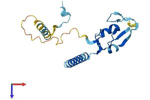 AlphaFold protein structure predicition of Mouse Recombinant Rnf181 Protein, UniprotID Q9CY62
