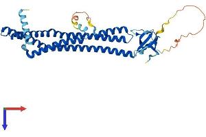 AlphaFold protein structure predicition of Mouse Recombinant Sh3gl2 Protein, UniprotID Q62420