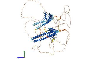 AlphaFold protein structure predicition of Mouse Recombinant Afap1l2 Protein, UniprotID Q5DTU0