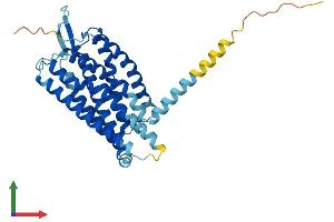 AlphaFold protein structure predicition of Human Recombinant PTAFR Protein, UniprotID P25105