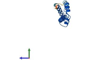 AlphaFold protein structure predicition of Human Recombinant MED10 Protein, UniprotID Q9BTT4