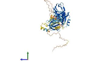 AlphaFold protein structure predicition of Mouse Recombinant Nherf4 Protein, UniprotID Q99MJ6