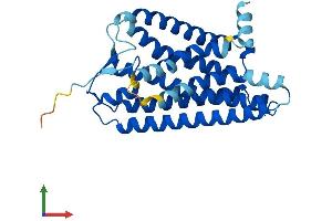 AlphaFold protein structure predicition of Human Recombinant OR5AC1 Protein, UniprotID P0C628 (OR5AC1 Protein (AA 1-307) (His tag))