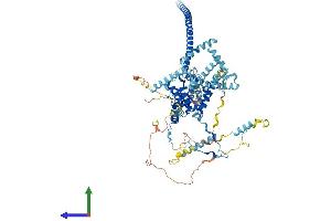 AlphaFold protein structure predicition of Mouse Recombinant Cdc5l Protein, UniprotID Q6A068