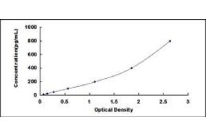 Typical standard curve (CD90 Kit ELISA)