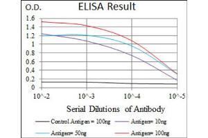 Red: Control Antigen (100ng) ; Purple: Antigen (10ng) ; Green: Antigen (50ng) ; Blue: Antigen (100ng).