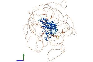 AlphaFold protein structure predicition of Mouse Recombinant Hipk3 Protein, UniprotID Q9ERH7