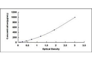 Typical standard curve (DEFB131 Kit ELISA)