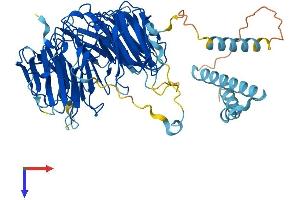 AlphaFold protein structure predicition of Mouse Recombinant Eif2a Protein, UniprotID Q8BJW6