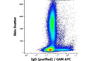Flow cytometry surface staining pattern of human peripheral whole blood stained using anti-human IgD (IA6-2) purified antibody (concentration in sample 0,33 μg/mL, GAM APC). (Souris anti-Humain IgD Anticorps)