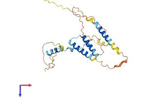 AlphaFold protein structure predicition of Human Recombinant SERTAD1 Protein, UniprotID Q9UHV2