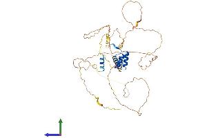 AlphaFold protein structure predicition of Mouse Recombinant Evx2 Protein, UniprotID P49749